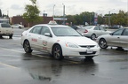 Edmonton Taxis